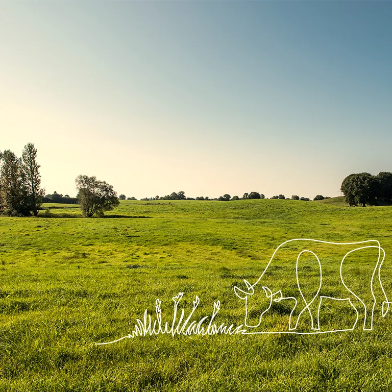 Oxyane, agriculture et territoire
