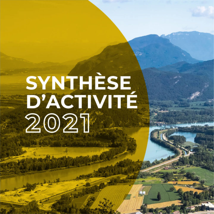 Synthèse d'activité