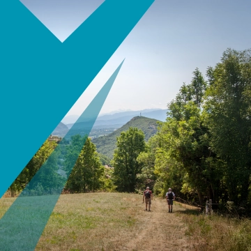 Valleiry, Charte graphique