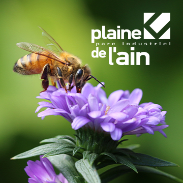 Campagne recrutement
