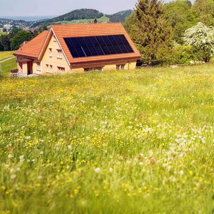 Auvergne-Rhône-Alpes Énergie Environnement et Mizu